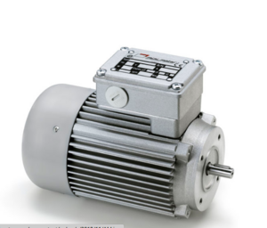 Mini Motor 直流有刷電機(jī) 直流無(wú)刷電機(jī) 交流同步電機(jī) AM系列 - AM 100P